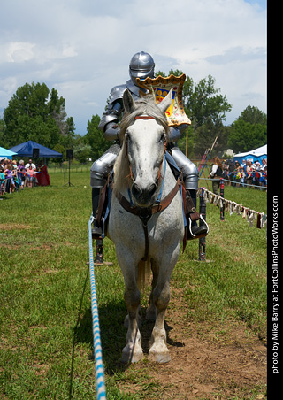 CMF 2023 - Knights of Mayhem