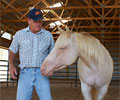 Cloud and Will at Four Directions Horse Farm