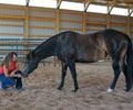 Jay with Kris at Four Directions Horse Farm