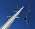 Fort Collins Brewery power pole
