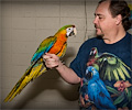 Double Shamrock Macaw at the Rocky Mountain Bird Expo