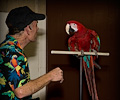 Top Hogs perfoming at the Rocky Mountain Bird Expo