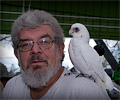 Bare-eyed Cockatoo