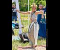 Medieval Festival Belly Dancers