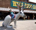 Wall Drug