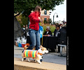 Tour de Corgi