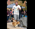 Tour de Corgi