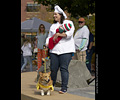 Tour de Corgi