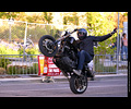 Motorcycle Stunt Show