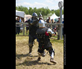 Medieval Combat