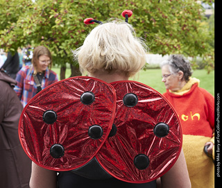 Tour de Corgi - Costume Contest - Lady Bug
