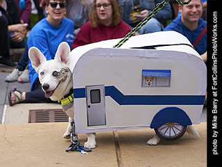 2019-09-28 - Tour de Corgi - Costume Contest #2