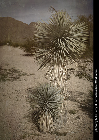 Old Tucson Scenery