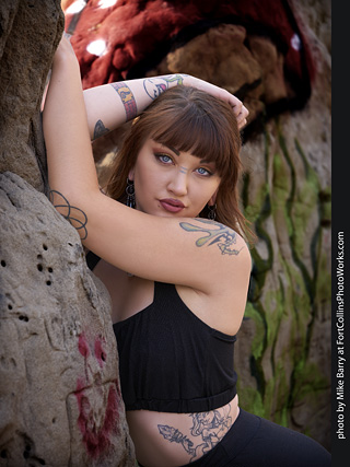 Gemini at The Natural Fort