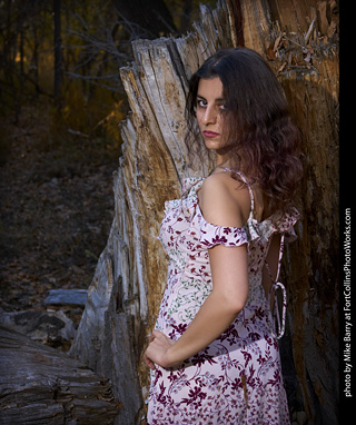 Forest Model Shoot