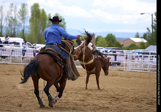Never Summer Rodeo - Bareback Riding