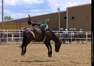 Never Summer Rodeo - Bareback Riding
