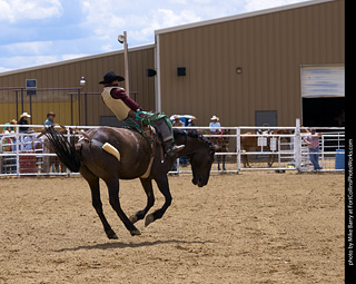 Never Summer Rodeo - Bareback Riding