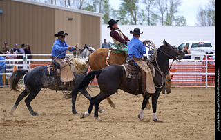 Never Summer Rodeo - Bareback Riding