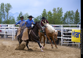 Never Summer Rodeo - Bareback Riding