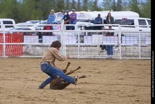 Never Summer Rodeo - Tie Down Roping