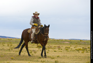 Diggs Cowboy Shoot