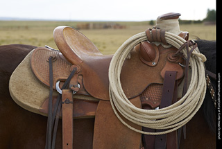 Diggs Cowboy Shoot