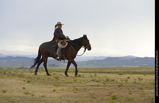 Diggs Cowboy Shoot