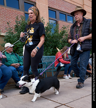 Tour de Corgi - Parade