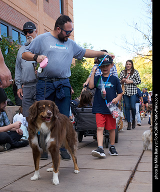 Tour de Corgi - Parade