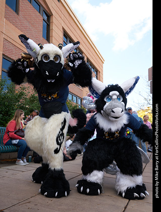 Tour de Corgi - Parade