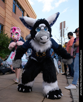 Tour de Corgi - Parade
