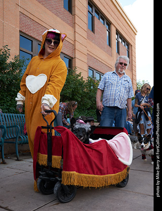 Tour de Corgi - Parade