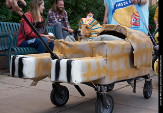 Tour de Corgi - Parade