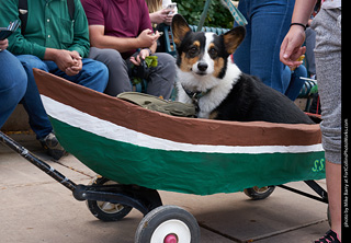 Tour de Corgi - Parade