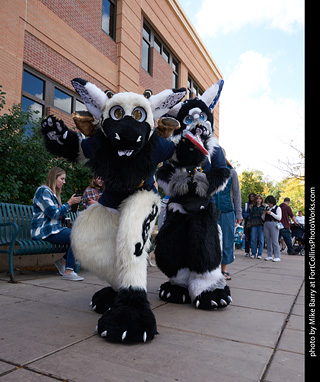 Tour de Corgi - Parade