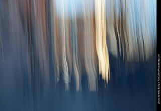Intentional Camera Movement Photography