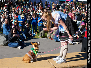 Tour de Corgi 2023 - p1