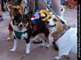 Tour de Corgi 2023 - p9