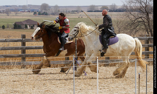 Order of Epona