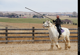 Order of Epona