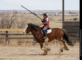 Order of Epona