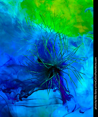 Submerged Flowers and Acrylic Paint