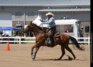 Regulators at the Larimer County Fair 2024