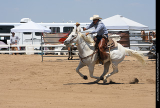 Regulators at the Larimer County Fair 2024