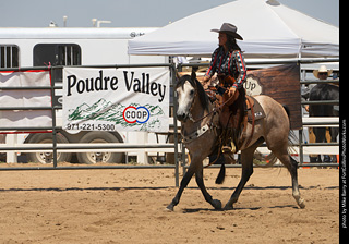 Regulators at the Larimer County Fair 2024
