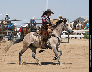 Regulators at the Larimer County Fair 2024