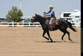 Regulators at the Larimer County Fair 2024