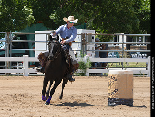 Regulators at the Larimer County Fair 2024