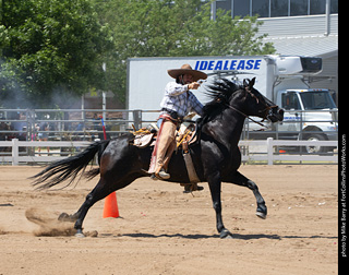 Regulators at the Larimer County Fair 2024